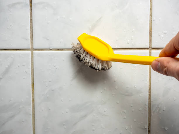 Best Local Mold Removal Service  in Hansen, ID